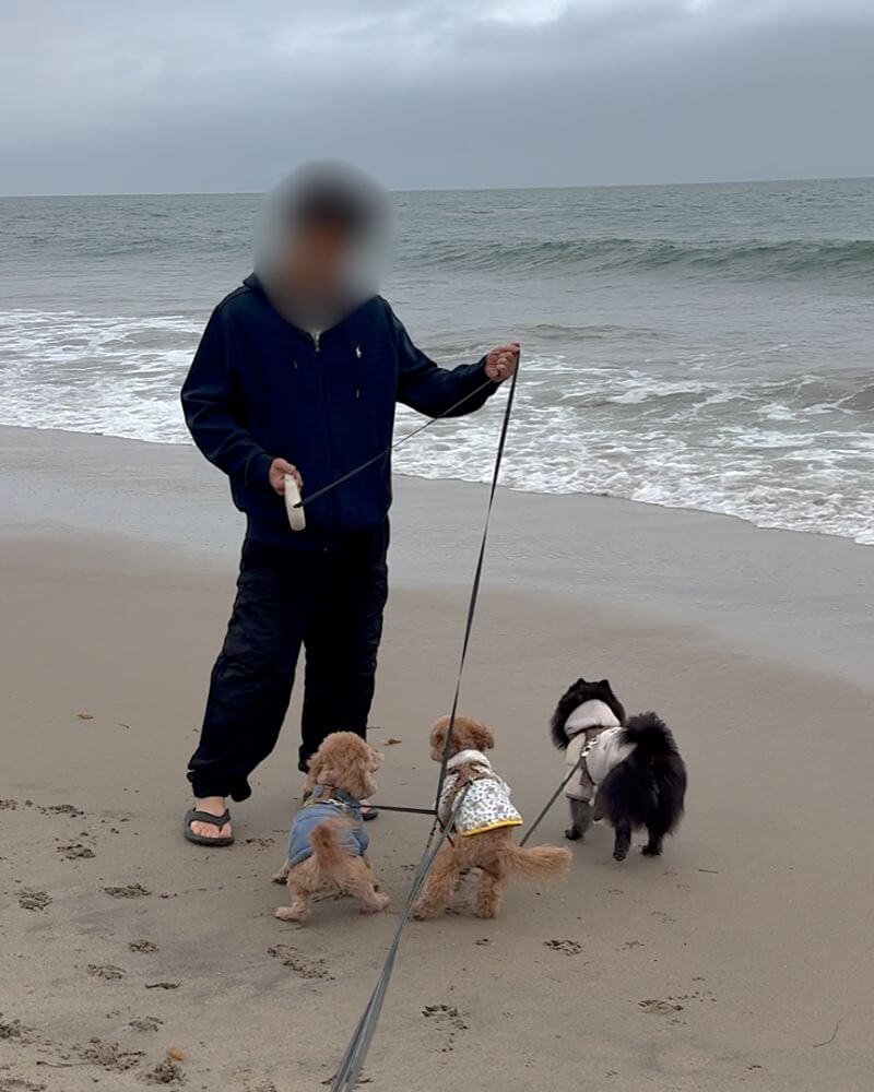 Dog owner with three dogs on their last morning at Leo Carrillo State Park beach