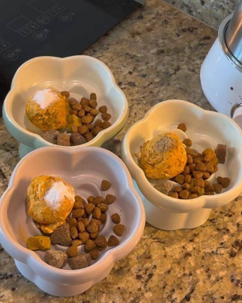 Three pet bowls showing the balanced 70 30 ratio of homemade fresh dog food, prescription kibble, and daily powders