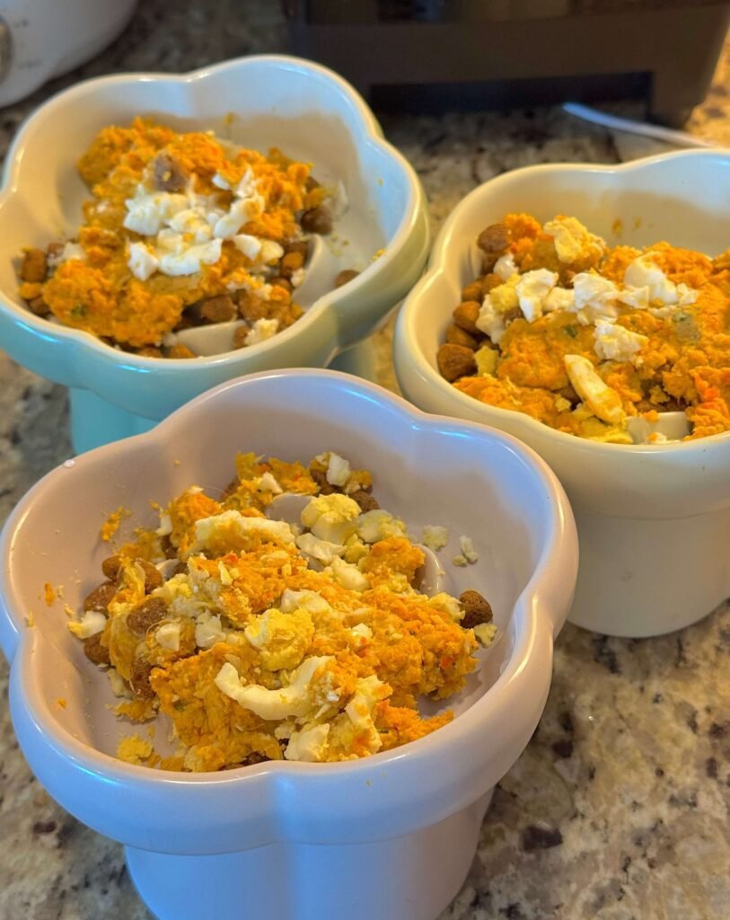 Fresh boiled egg mashed and mixed as a healthy topper over homemade dog food and kibble