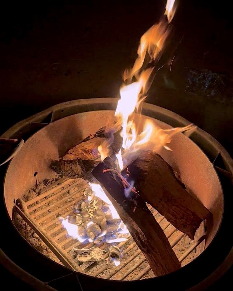 San Clemente Pet Friendly Camping: Our Foil Grill Fail Campfire burning at night at San Clemente State Beach campsite