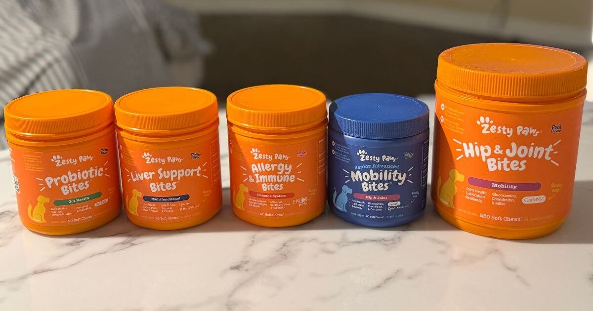 Our Daily Dog Supplement Routine: A 4-Step Morning Stack for Senior & Adult Dogs