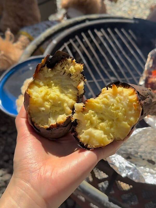 Steaming foil roasted sweet potato fresh out of the campfire coals at Getaway cabin