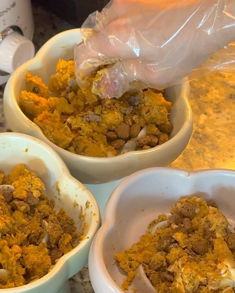 Mixing crumbled dog supplements into warm homemade dog food by hand
