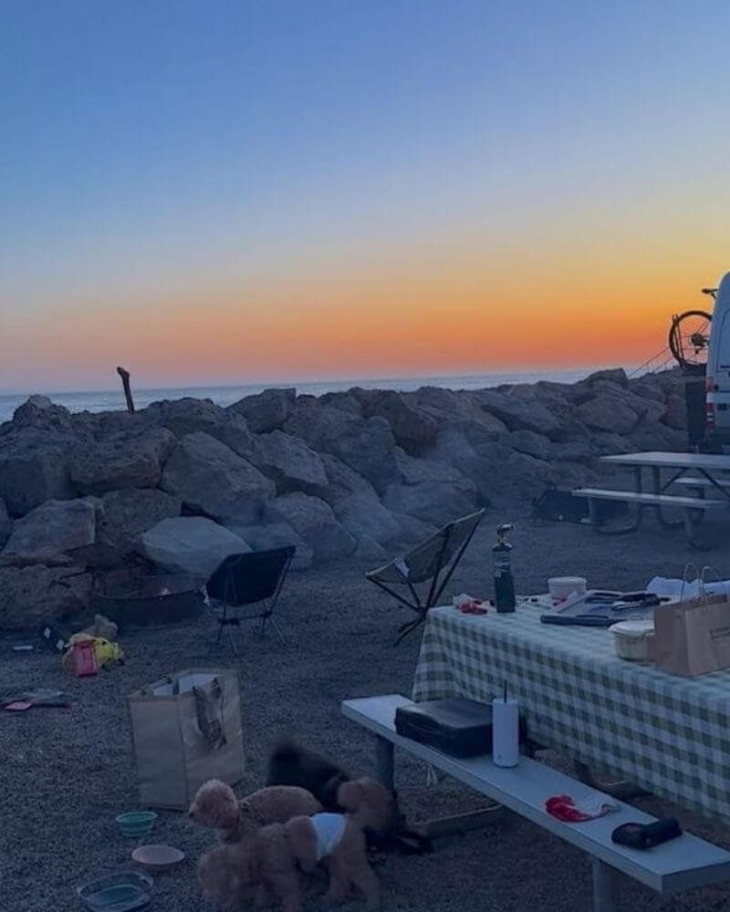 Camp chairs, picnic table, and dogs relaxing at Hobson Beach campsite at dusk