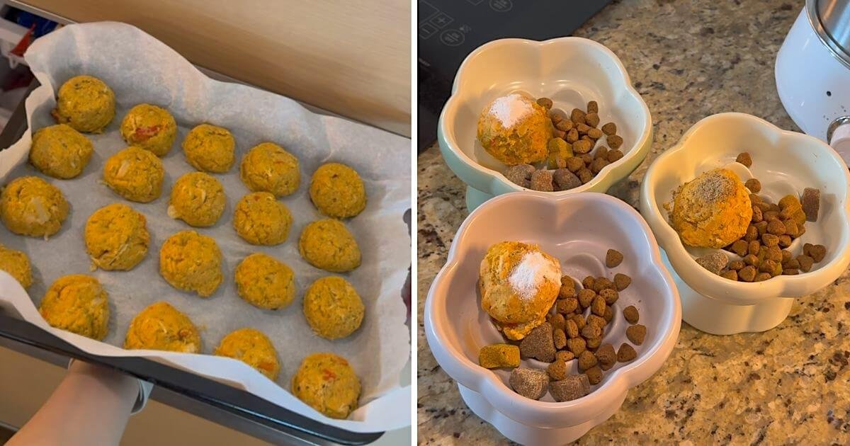 How to Make Homemade Dog Food with Chicken: My Weekly Batch Prep & Ice Cream Scoop Hack