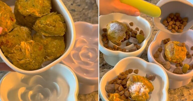 mixing homemade dog food with kibble 70 30 ratio