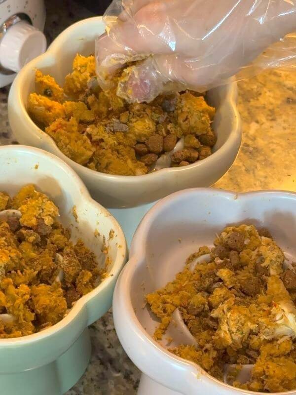 Gently mixing thawed fresh chicken dog food and dry kibble together in a bowl
