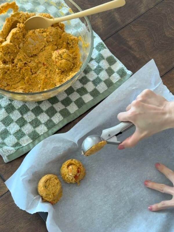 Scooping fresh homemade dog food with an ice cream scoop into single meal portions