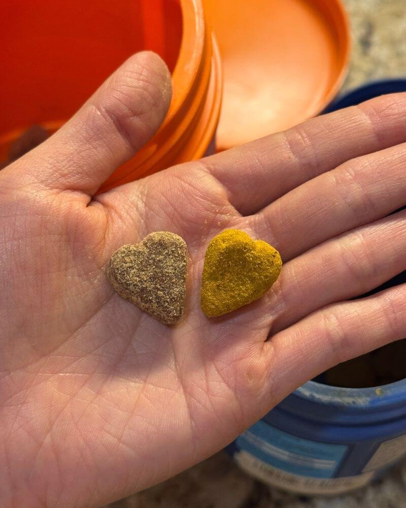 Heart-shaped Zesty Paws soft chews for dogs shown up close