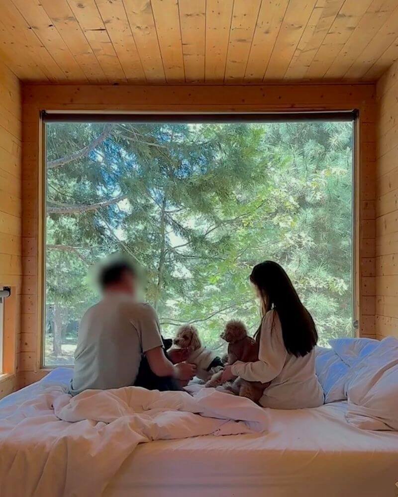 Staying at Getaway House with Multiple Dogs: Honest Review & Realistic Space Tips Family and three dogs sitting on a queen bed looking out the large picture window at Getaway Big Bear cabin.