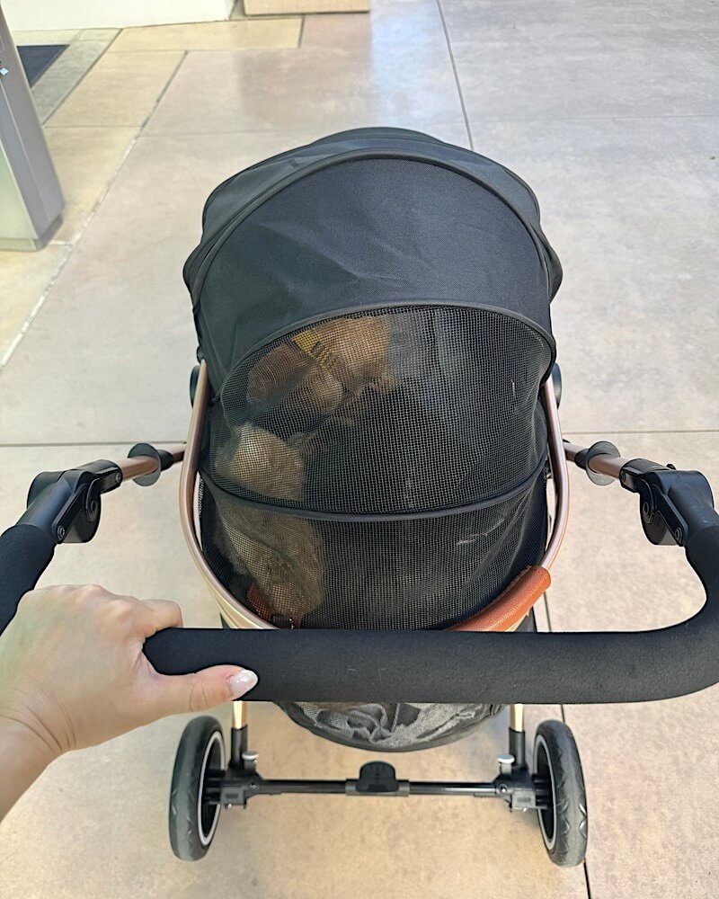 Signs Your Senior Dog Needs a Stroller (And Why I Waited Too Long) Signs your senior dog needs a stroller, a four wheel pet stroller ready for a walk