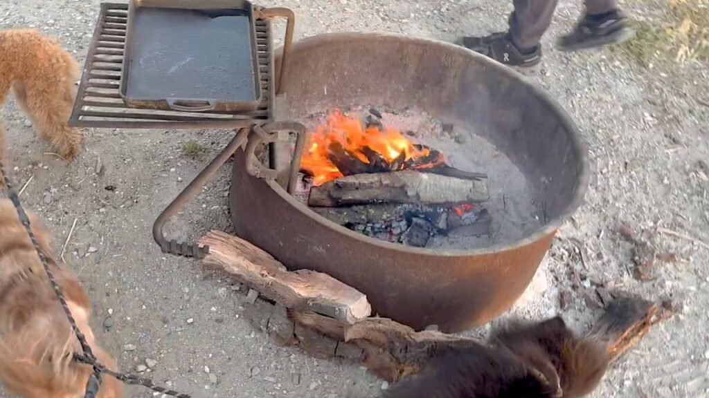 Open flames burning in a metal campsite fire ring with firewood stacked beside it and two small dogs walking past