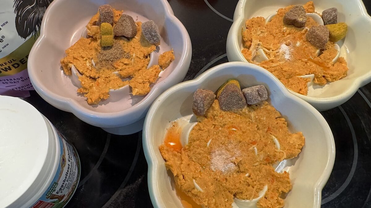How to Give Supplements to Multiple Dogs (Our 3-Dog Morning System) three slow feeder bowls of fresh food, each topped with its own set of supplement chews and powder
