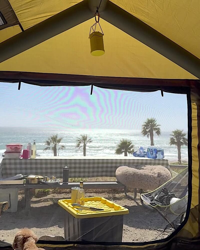 Air Tent Setup Mistakes Ocean and palm trees seen through the open door of an air tent with a small dog standing at the entrance
