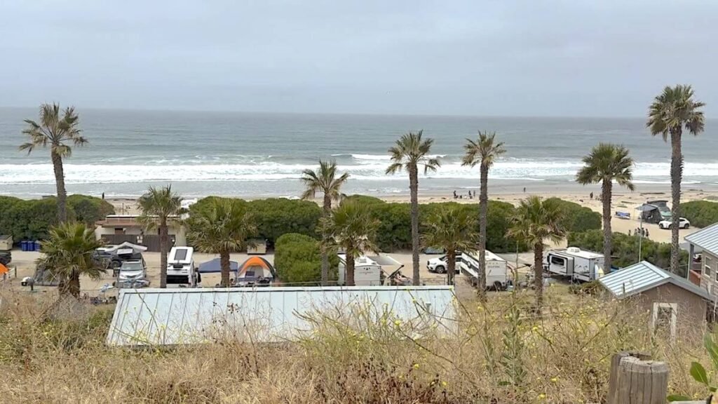 What Is It Like to Camp With No Cell Service? Our Three Days Offline Morning ocean view with palm trees from a Jalama Beach campsite while camping without a phone