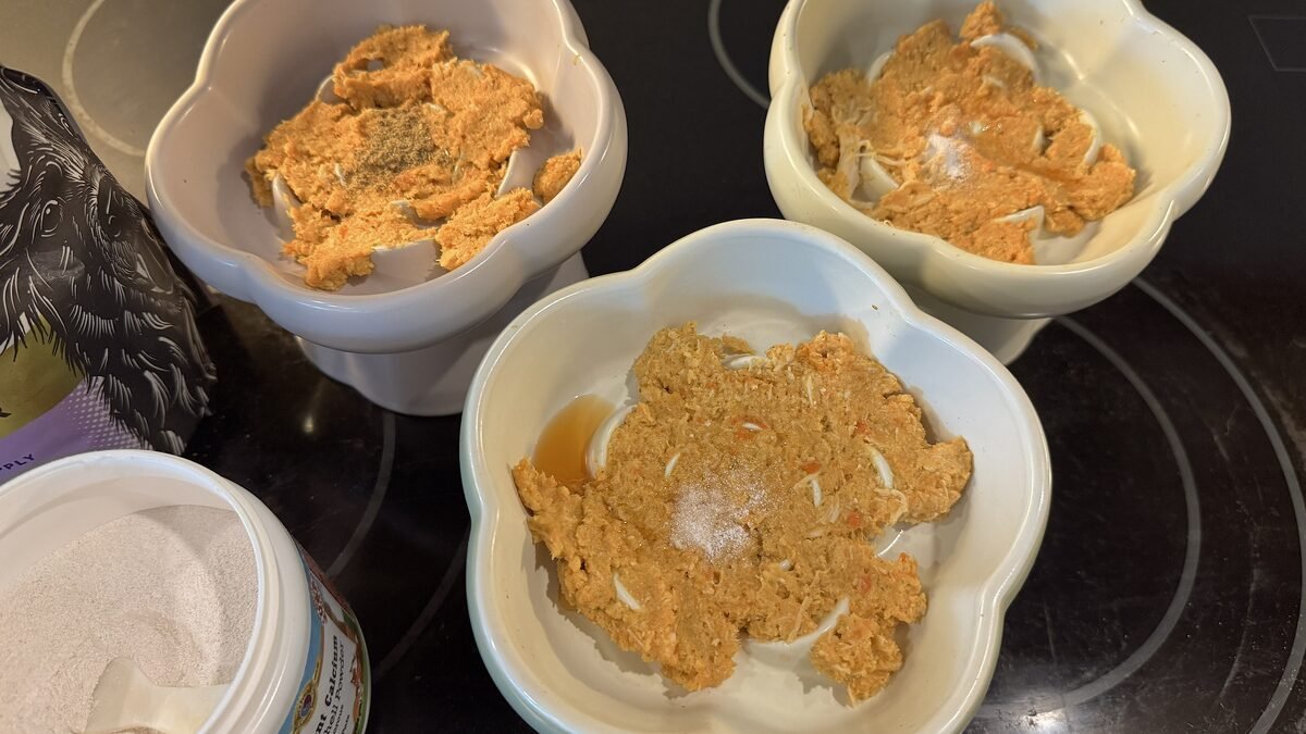 How to Give Supplements to Multiple Dogs (Our 3-Dog Morning System) powder supplement sprinkled over homemade dog food in three slow feeder bowls