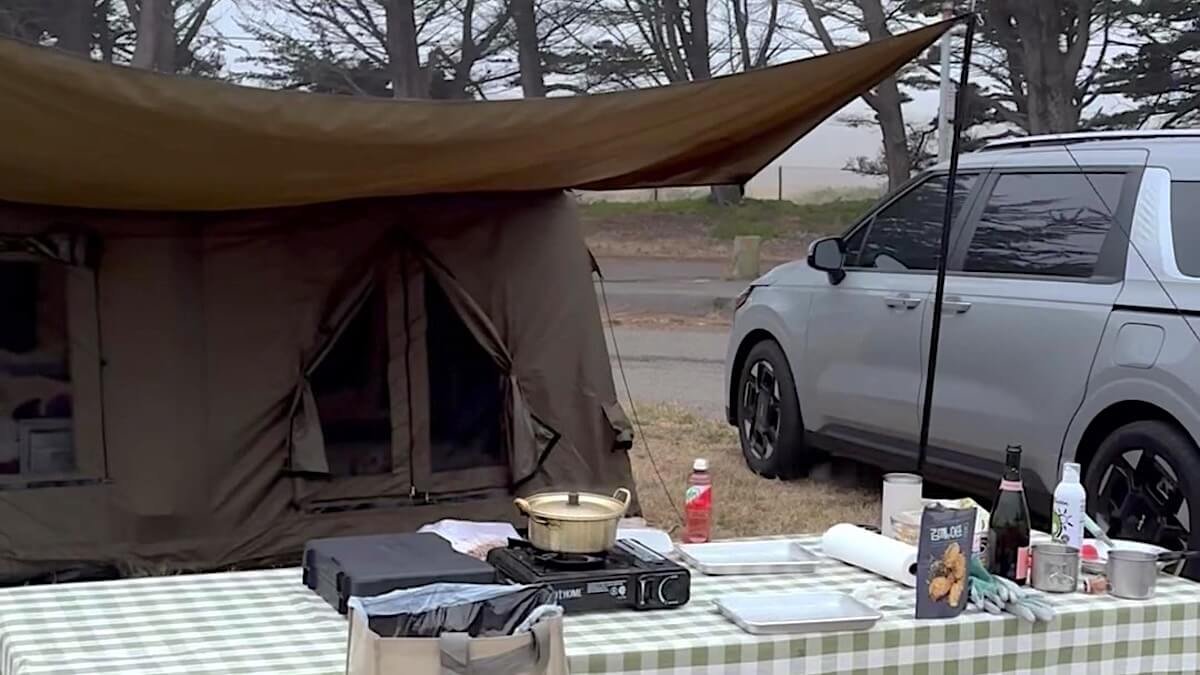 Westside Regional Park Camping With Dogs: What We Wish We'd Known Camp stove, side dishes and drinks set out on a checked tablecloth at a Bodega Harbor campsite