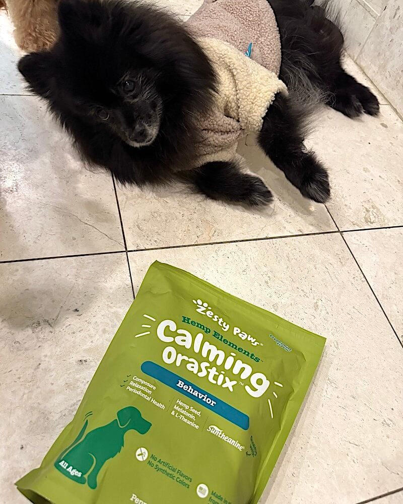 Zesty Paws Calming OraStix dental sticks next to a senior black Pomeranian lying on the floor