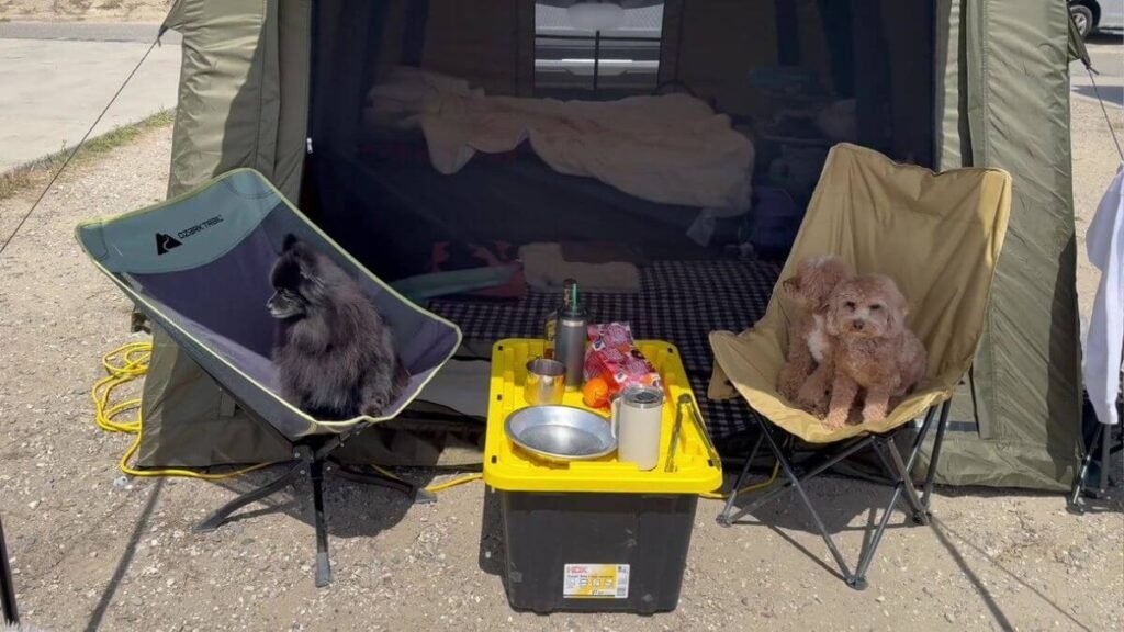 Air Tent Setup Mistakes Two small dogs sitting in separate camp chairs under an air tent awning with a yellow tray table between them