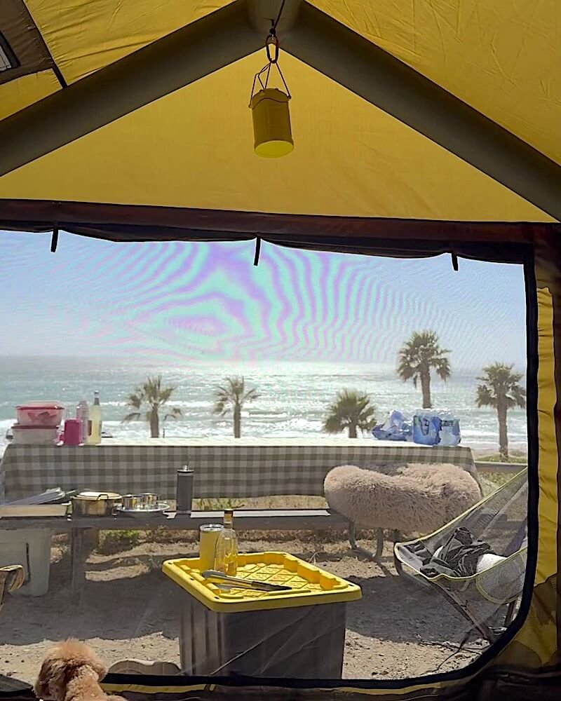 View from inside a tent looking out at palm trees, the ocean and a picnic table at Jalama Beach campground