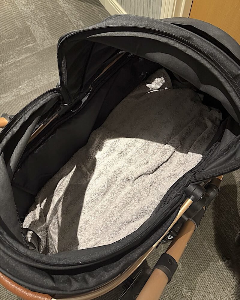Signs Your Senior Dog Needs a Stroller (And Why I Waited Too Long) Inside of a pet stroller with a folded blanket over the flat padded floor