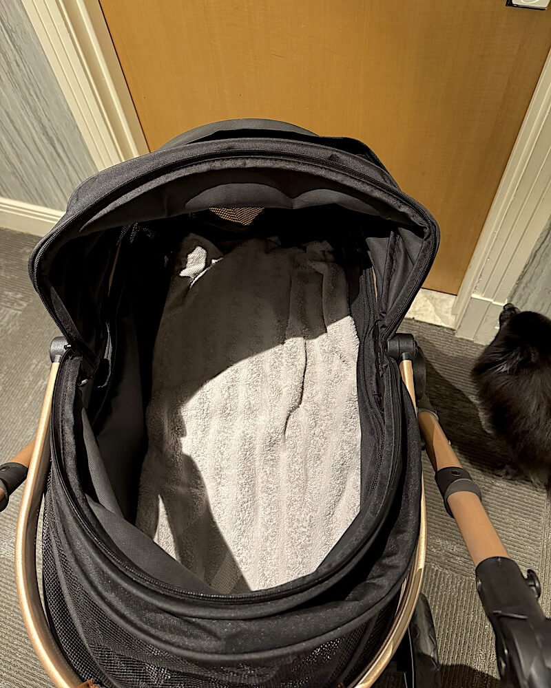 Signs Your Senior Dog Needs a Stroller (And Why I Waited Too Long) Pet stroller parked with the canopy open so a senior dog can get in on her own