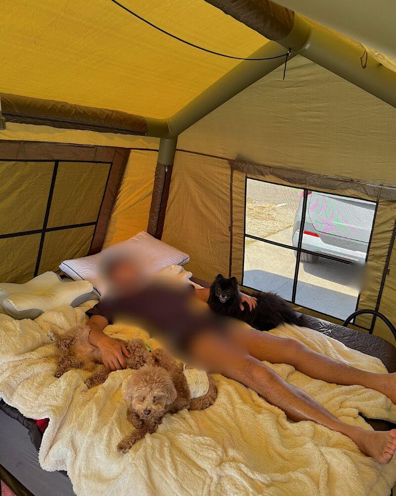 What Is It Like to Camp With No Cell Service? Our Three Days Offline Relaxing inside a spacious camping tent on a cozy bed with three small dogs resting together