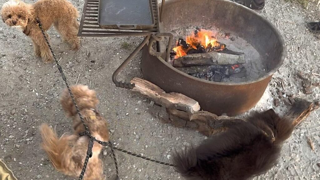 What Is It Like to Camp With No Cell Service? Our Three Days Offline Wood burning in a campsite fire ring with a cooking grate at Jalama Beach in the evening