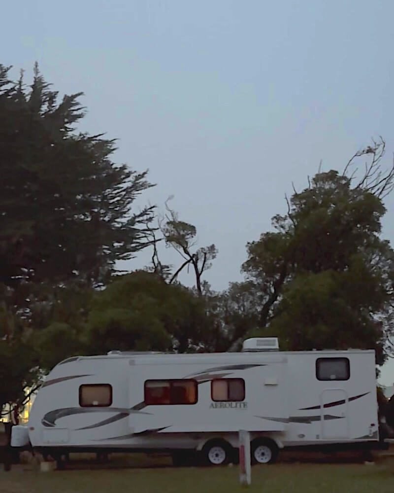 Westside Regional Park Camping With Dogs: What We Wish We'd Known Row of RVs and cypress trees at Westside Regional Park campground at dusk