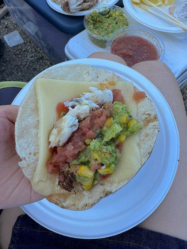 Hand holding a warm campfire taco layered with grilled fish, melted cheese, fresh guacamole, and salsa