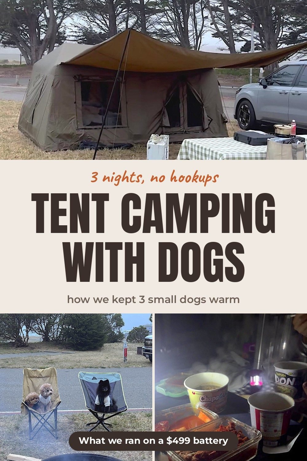 Tent Camping With Dogs: Three Nights With No Power An olive green tent with an awning at a foggy coastal campsite, above two small dogs in camp chairs and cup noodles on a camp table at night