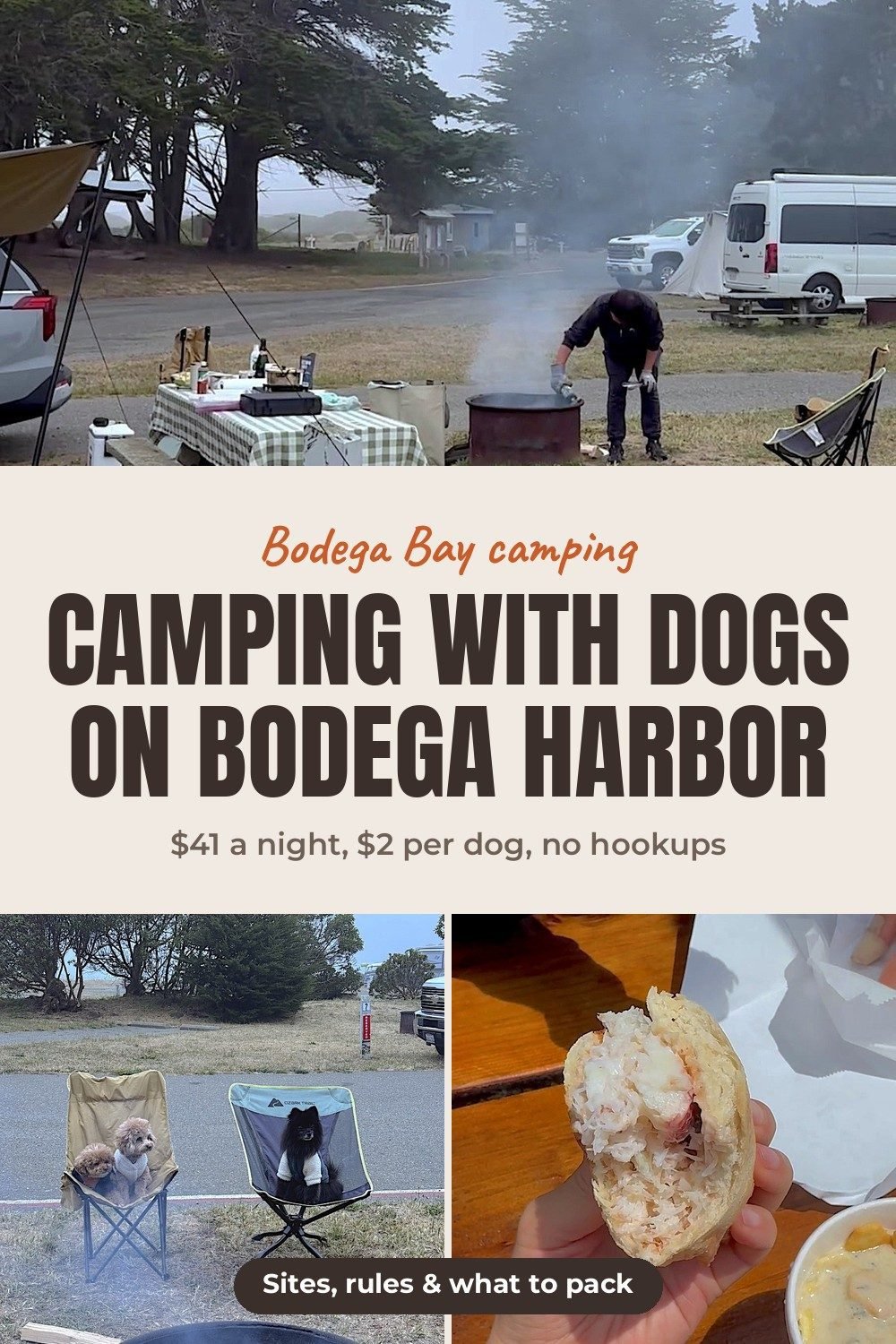 Westside Regional Park Camping With Dogs: What We Wish We'd Known A foggy harbor campsite with a checkered picnic table and cypress trees, above two small dogs in camp chairs and a crab sandwich with clam chowder