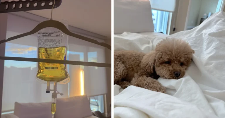 NAD IV therapy at home: a yellow IV bag hanging from a clothes hanger next to our curly dog resting on the sheets