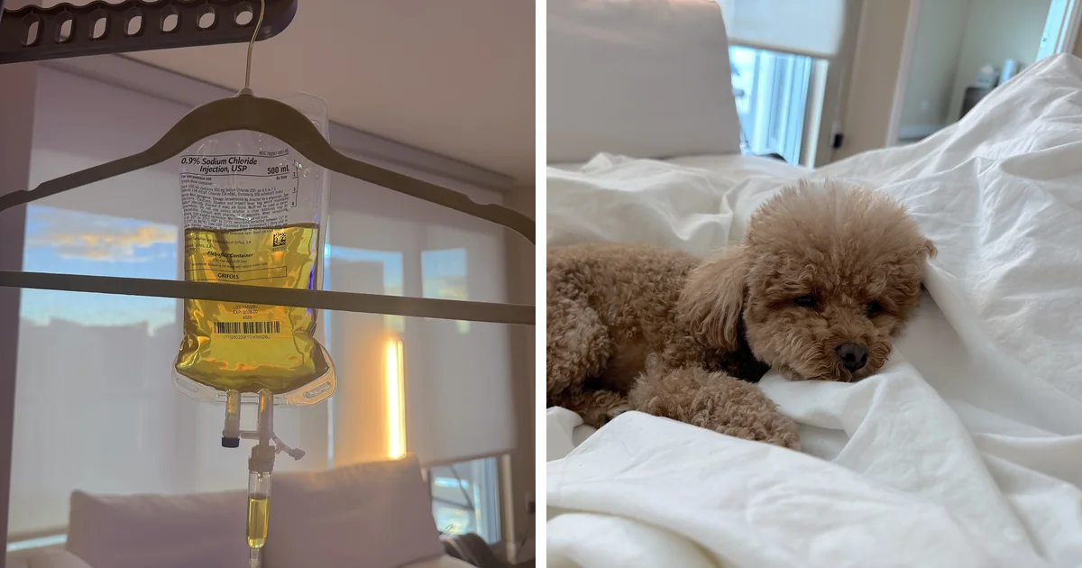 NAD IV Therapy: What My First 1,000 mg Drip Was Like (And the Week After) NAD IV Therapy: What My First 1,000 mg Drip Was Like (And the Week After)