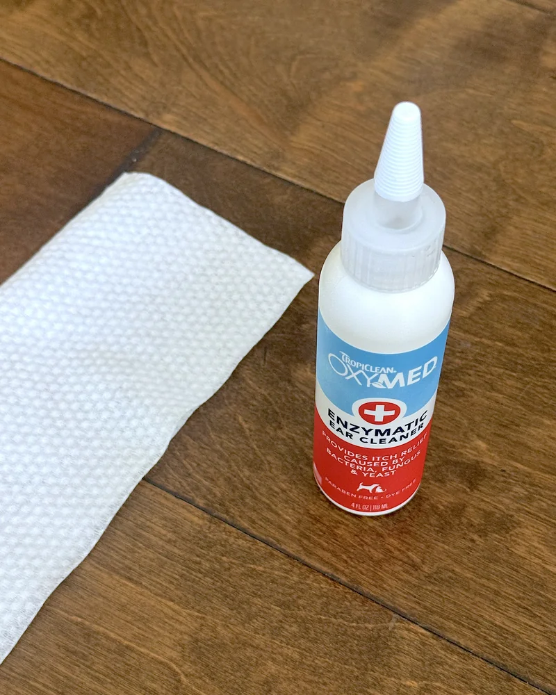 How to clean dog ears at home with an enzymatic ear cleaner bottle and a dry wipe on a wood floor
