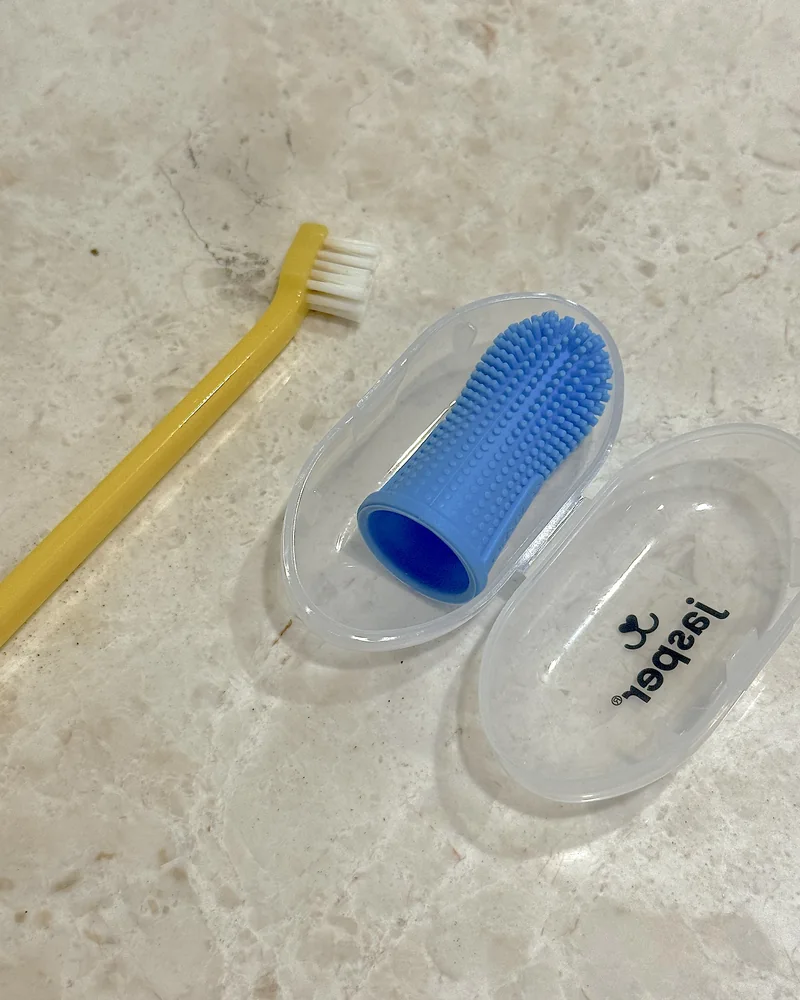 How Often to Brush Dog Teeth (Our Nightly Routine With 3 Small Dogs) Blue silicone finger toothbrush in its clear case next to a long-handled yellow dog toothbrush on a marble counter