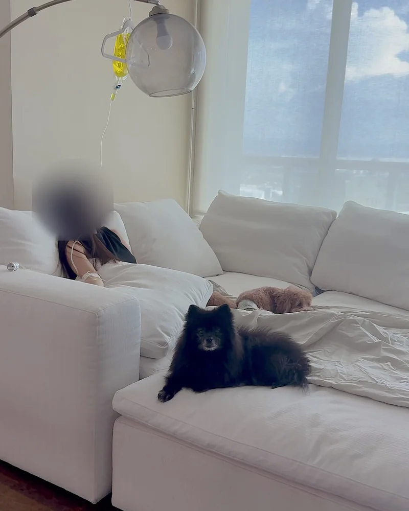 What Is in an IV Drip? Every Ingredient in My At-Home IV Bag (and Why It Turned Yellow) Woman resting on a white couch during an IV drip with a black Pomeranian lying nearby