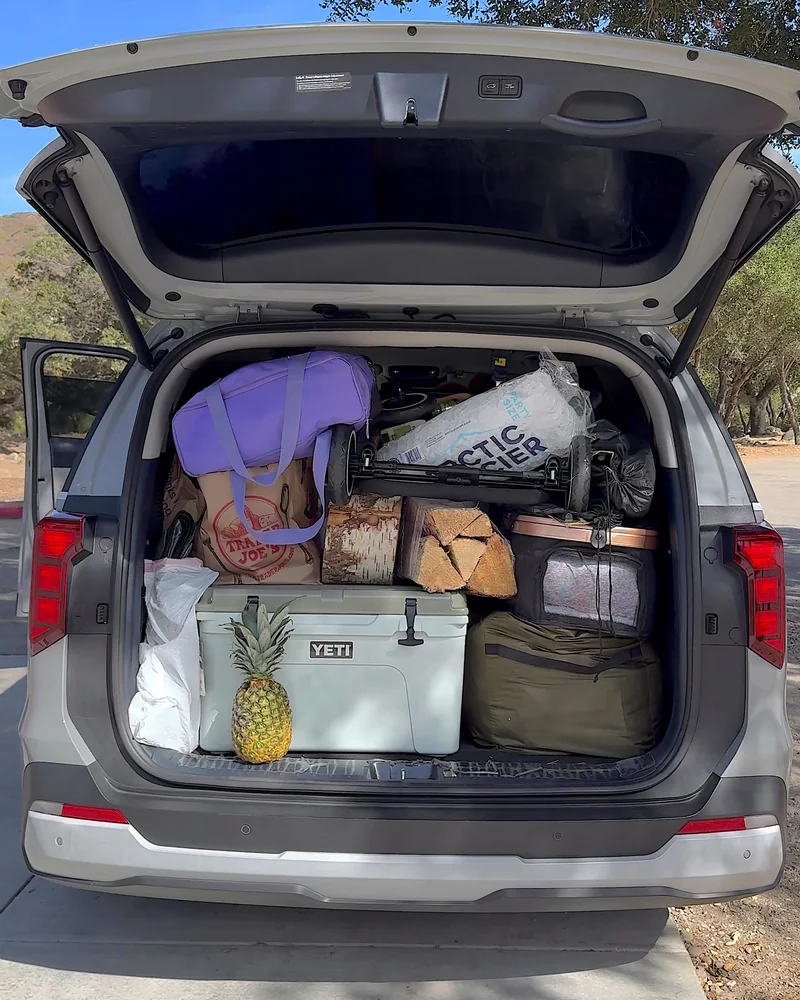 Steckel Park Camping With 3 Dogs: Our Honest Review of This Oak-Shaded Campground Minivan trunk packed with a YETI cooler, firewood, bags and a pineapple