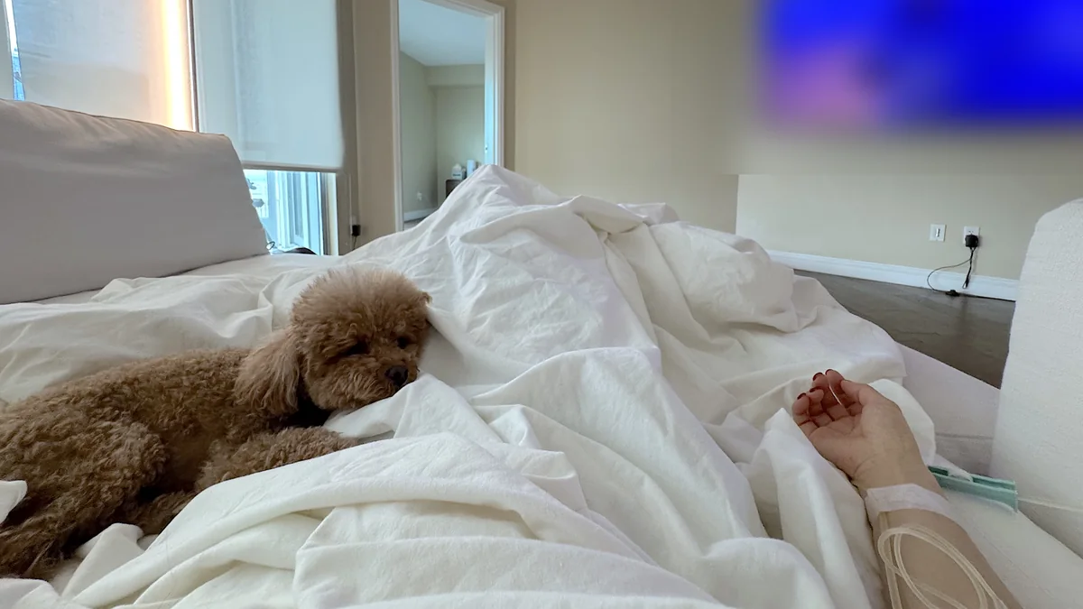 NAD IV Therapy: What My First 1,000 mg Drip Was Like (And the Week After) Lying under white sheets with an IV in my arm while our curly dog rests nearby and the TV is on
