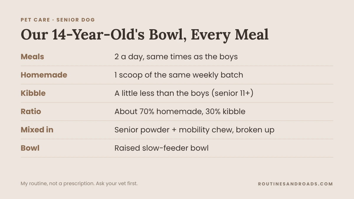 Homemade Dog Food for Senior Dogs (What Our 14-Year-Old Eats Every Day) Info card showing our 14-year-old dog's meals: one scoop of homemade food, a little less senior kibble, about 70 to 30, twice a day in a raised slow-feeder bowl