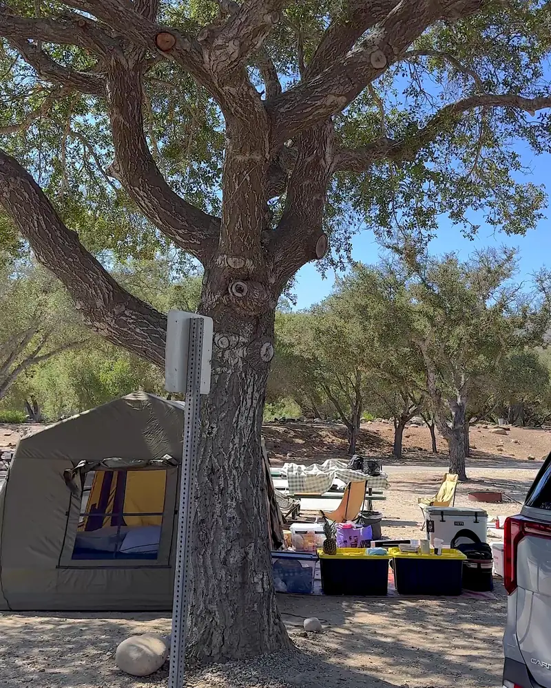 Steckel Park Camping With 3 Dogs: Our Honest Review of This Oak-Shaded Campground Air tent in the shade of a large oak trunk at a county campground