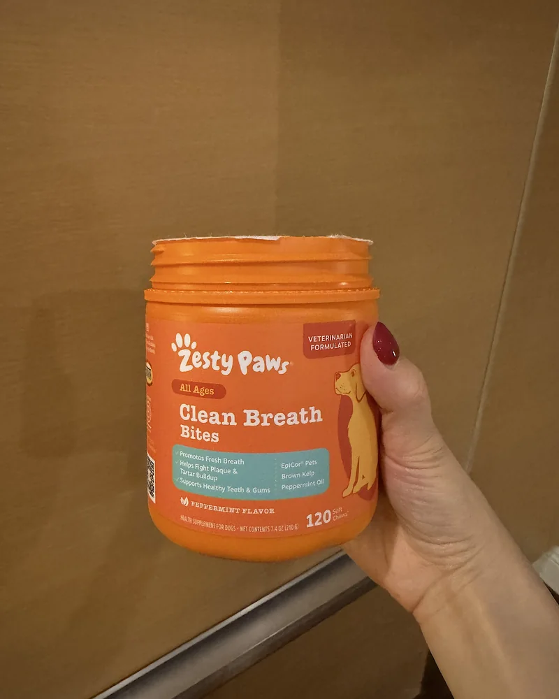 How Often to Brush Dog Teeth (Our Nightly Routine With 3 Small Dogs) Holding a jar of Zesty Paws Clean Breath Bites, peppermint flavor, 120 count