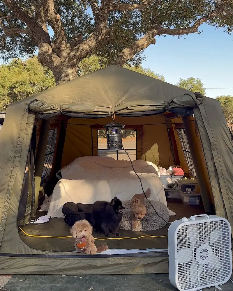Steckel Park Camping With 3 Dogs: Our Honest Review of This Oak-Shaded Campground Three small dogs inside an air tent with a white box fan at the door