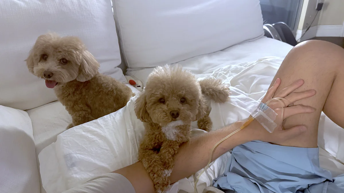 NAD IV Therapy: What My First 1,000 mg Drip Was Like (And the Week After) Our two curly brown dogs sitting with my husband, whose IV line is taped to the back of his hand