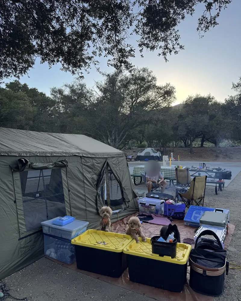 Steckel Park Camping With 3 Dogs: Our Honest Review of This Oak-Shaded Campground Evening campsite with three dogs on storage bins next to an air tent