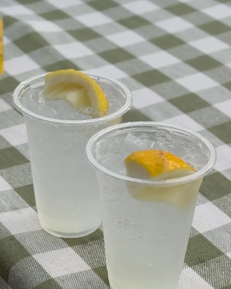 Camping Food List: What We Actually Ate in 3 Nights (Korean Dinners, Drinks, and the Dogs' Food) Two plastic cups of soju tonic with lemon slices on a green checkered picnic cloth