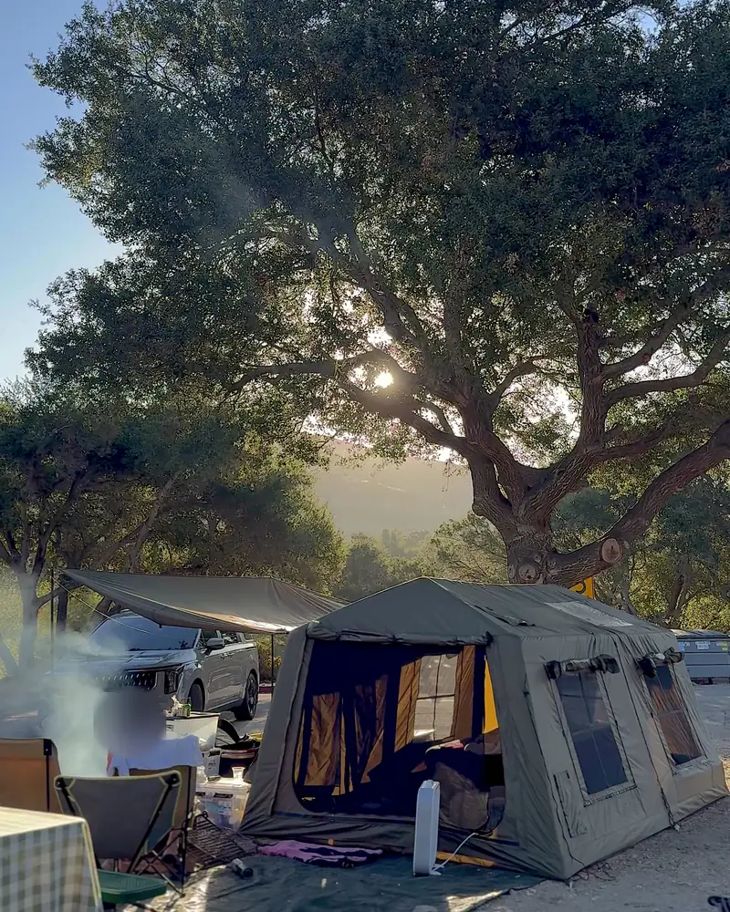 Steckel Park Camping With 3 Dogs: Our Honest Review of This Oak-Shaded Campground Morning sun shining through a big oak over a tent and campfire smoke