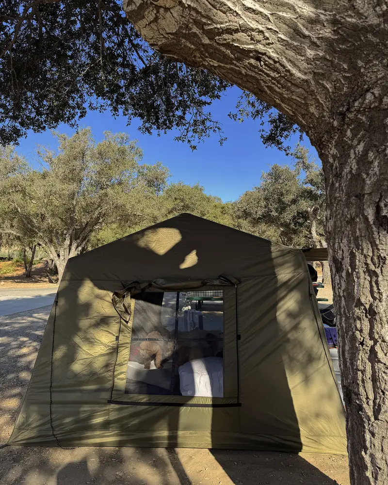 Steckel Park Camping With 3 Dogs: Our Honest Review of This Oak-Shaded Campground Air tent framed by a thick oak branch on a sunny day