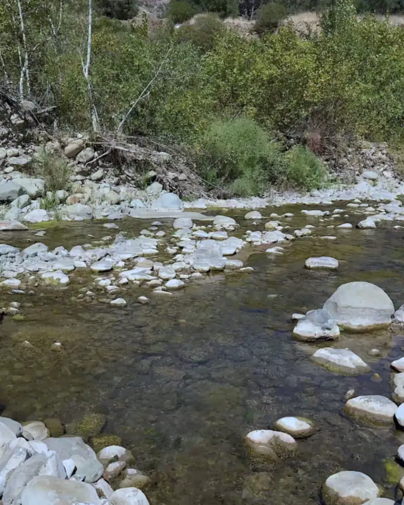 Steckel Park Camping With 3 Dogs: Our Honest Review of This Oak-Shaded Campground Shallow stretch of Santa Paula Creek running over white river rocks