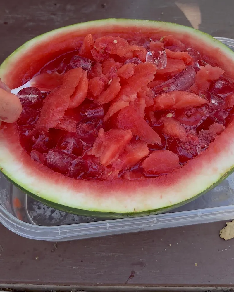 Steckel Park Camping With 3 Dogs: Our Honest Review of This Oak-Shaded Campground Watermelon hwachae with ice served in a hollowed watermelon rind on a picnic table